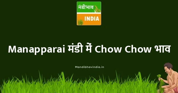 Chow Chow भाव